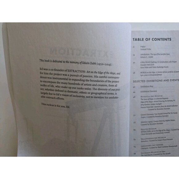 Extraction Art On Edge Of Abyss - Catalog Exhibition Guide 2020 Codex Megazine - Picture 14 of 16